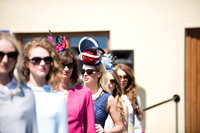 Connacht Spring Show 2016